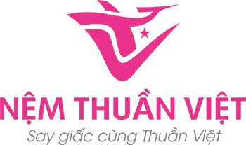 nem-thuan-viet